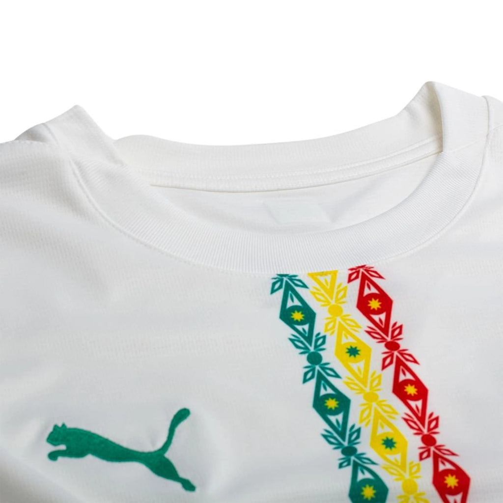 Cameroon Home 2026