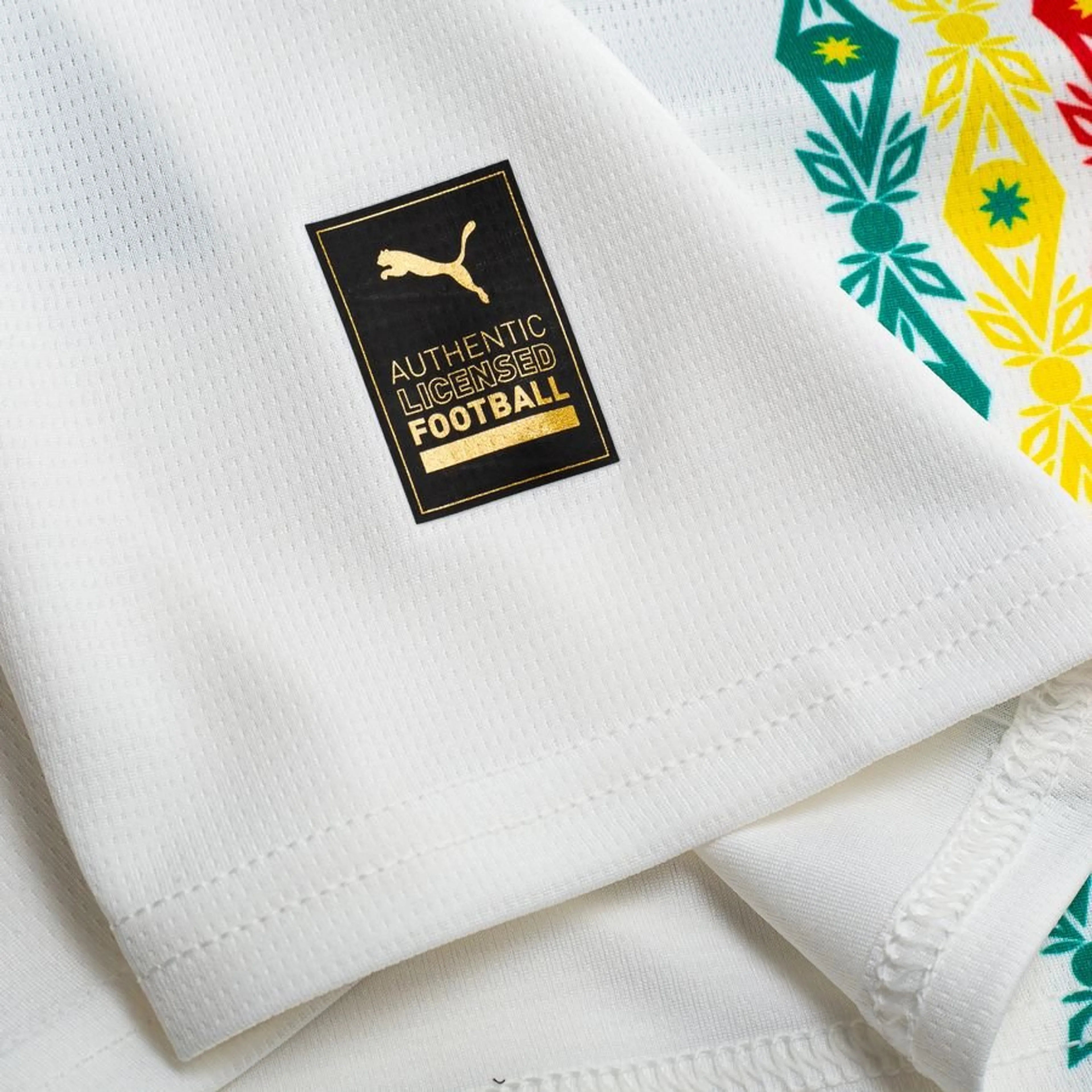 Cameroon Home 2026