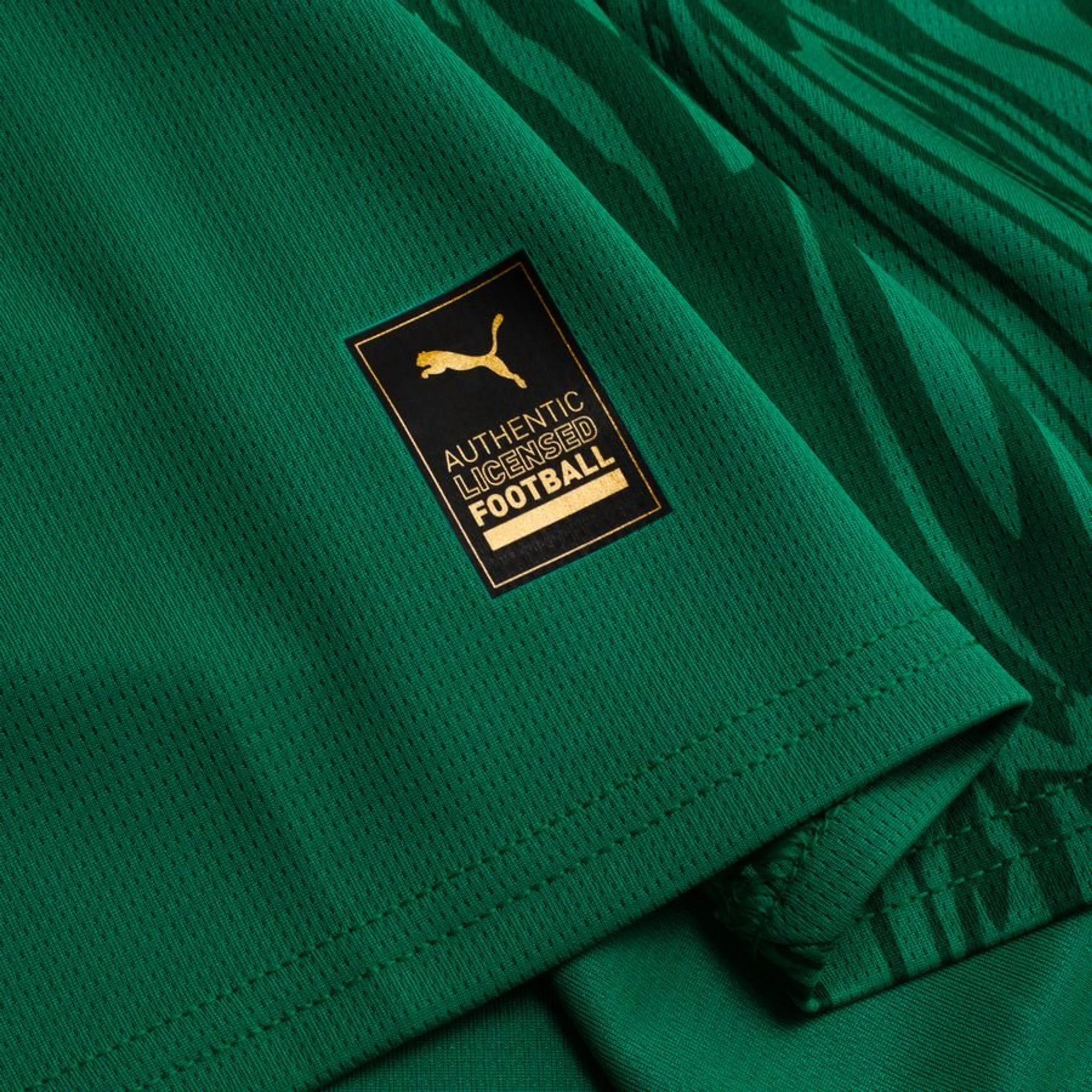 Senegal Home 2026
